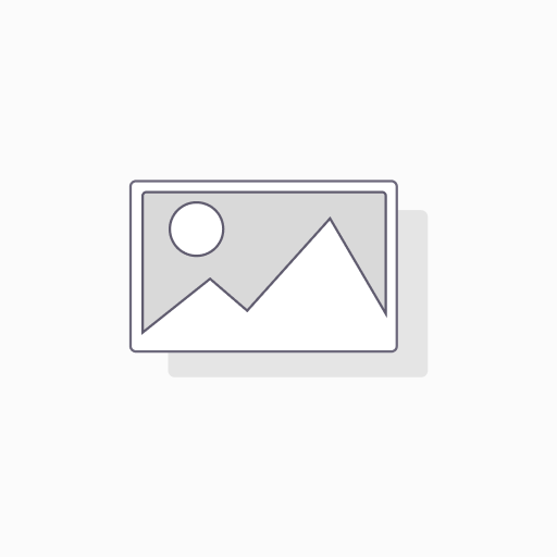 Transcription plan - monthly